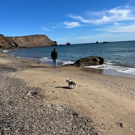 34300 Le Cap D'Agdeアパートメント エクステリア 写真